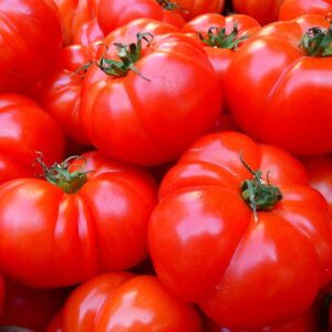 tomatoes, fruit, food-5356.jpg